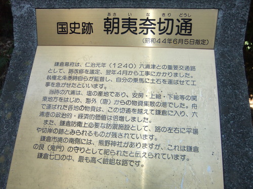 f0063791_17584353.jpg