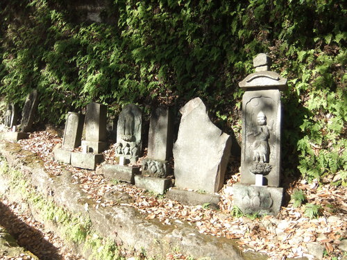 f0063791_17593433.jpg