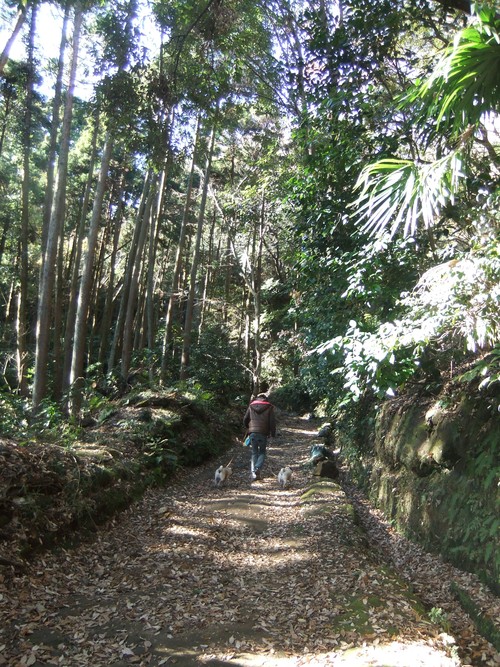 f0063791_1802973.jpg