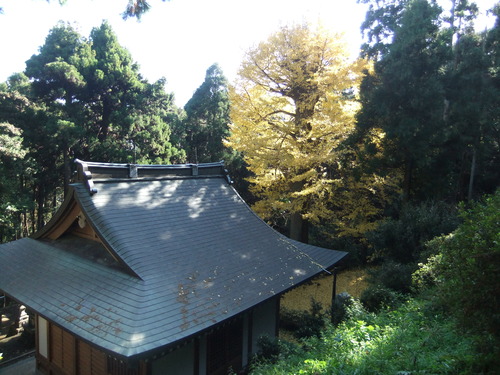 f0063791_18104288.jpg