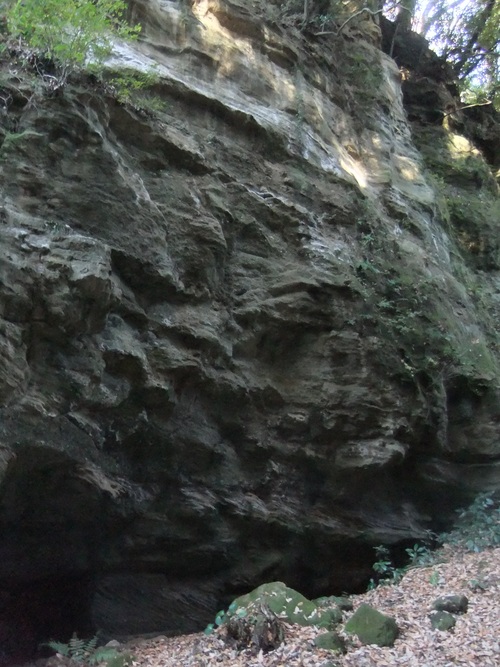 f0063791_18192563.jpg