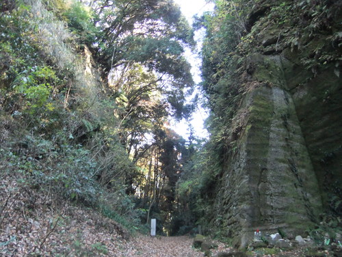 f0063791_18195138.jpg