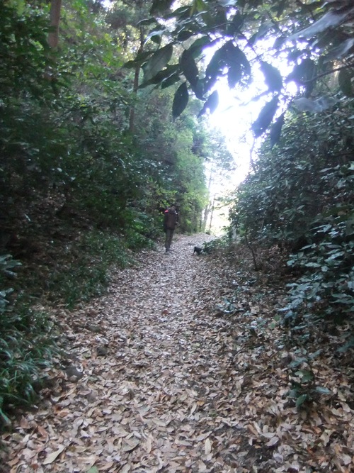 f0063791_18215395.jpg