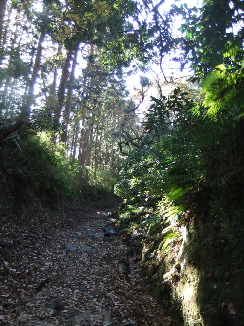 f0063791_1821938.jpg