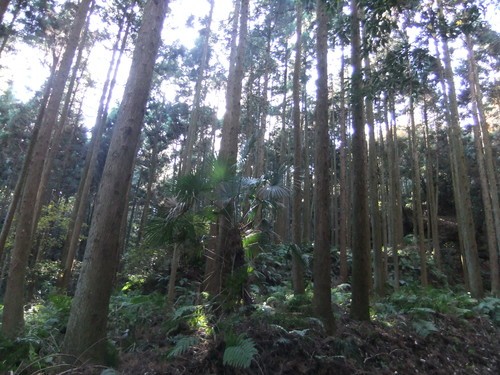 f0063791_1823539.jpg