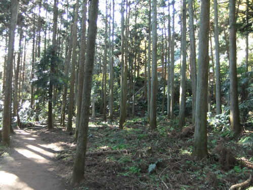 f0063791_1865223.jpg