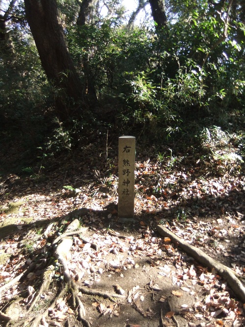 f0063791_186662.jpg