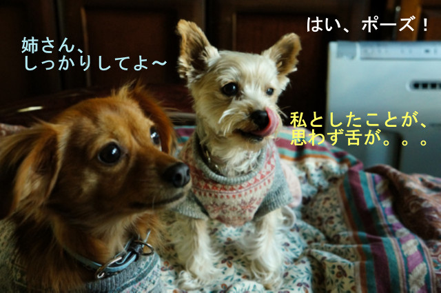 b0203596_21165231.jpg