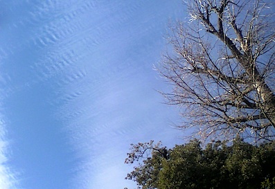 f0108399_21244978.jpg