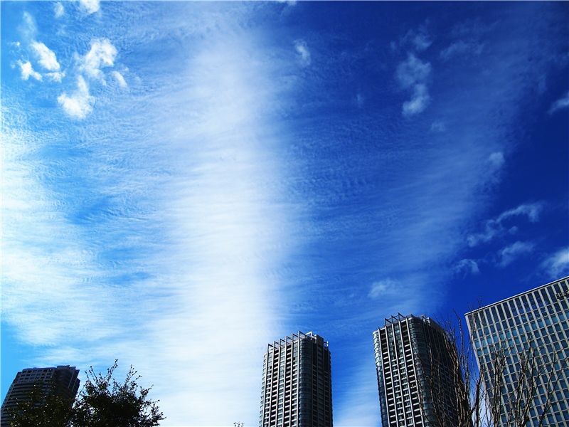 f0224100_1321494.jpg