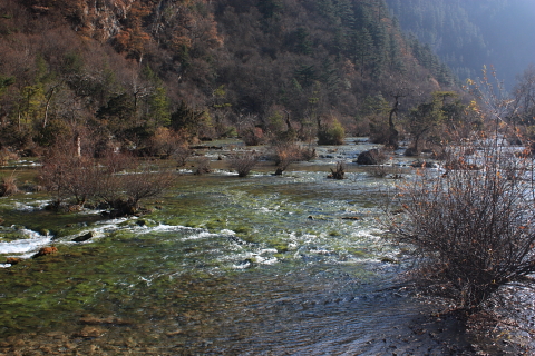d0077811_14594820.jpg