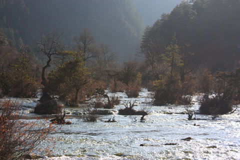 d0077811_150868.jpg