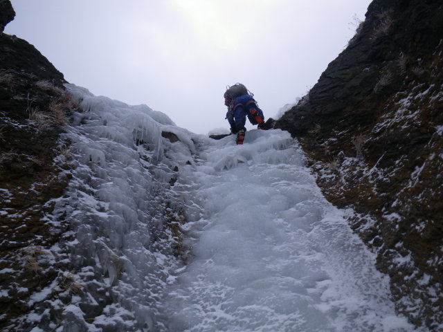 d0006512_23152673.jpg