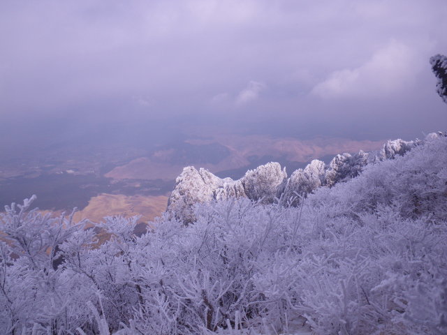 d0006512_2316665.jpg