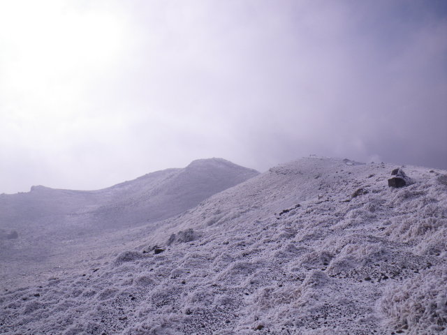 d0006512_2318488.jpg
