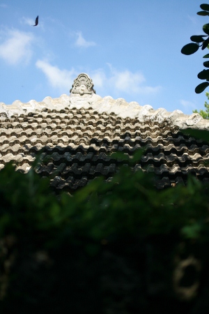 f0097620_0571892.jpg