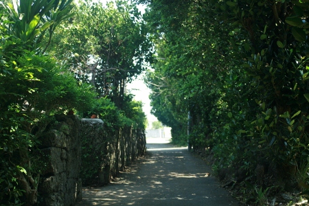 f0097620_059367.jpg