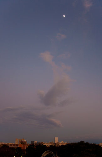 c0182022_17225045.jpg