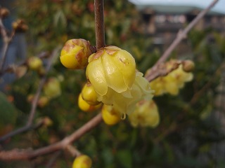 b0008825_11591920.jpg