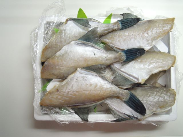 f0229926_026771.jpg