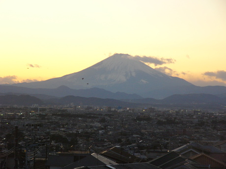 e0235528_17534669.jpg