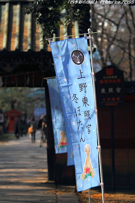 a0195032_19431866.jpg