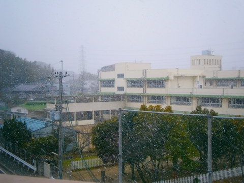 d0065835_1651841.jpg