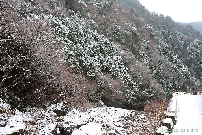 e0083238_20581681.jpg