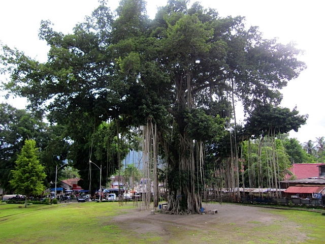 d0106242_12411389.jpg