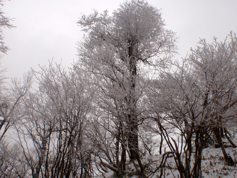 b0168843_14271814.jpg