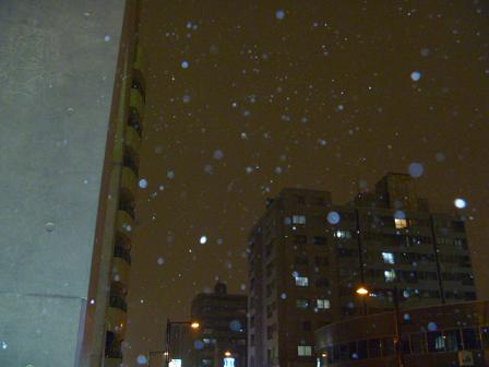 a0156548_22405845.jpg