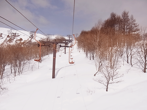 a0004752_1314441.gif