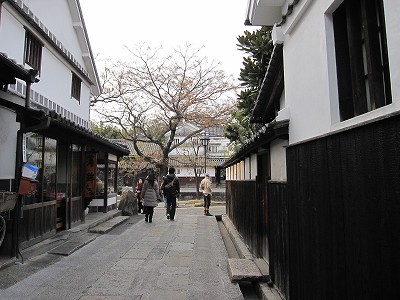 d0031853_7284691.jpg