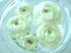 f0190653_14354448.jpg