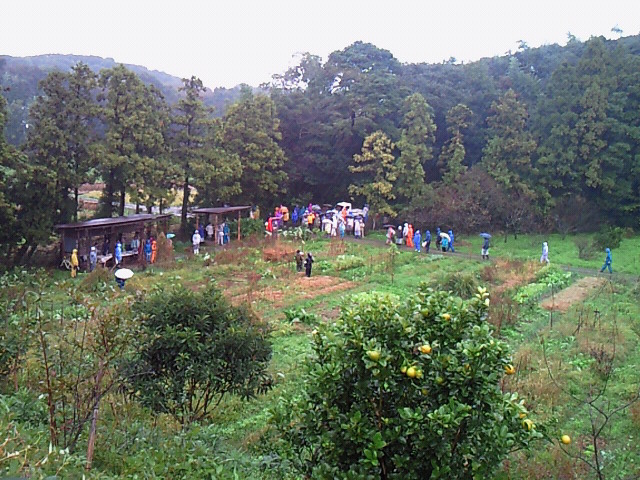 b0139862_20421287.jpg