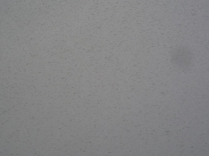 b0141664_22445077.jpg