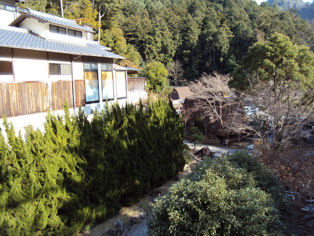 c0099564_17493210.jpg