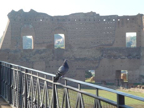 e0025267_1141355.jpg