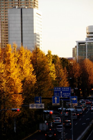e0045768_2212775.jpg