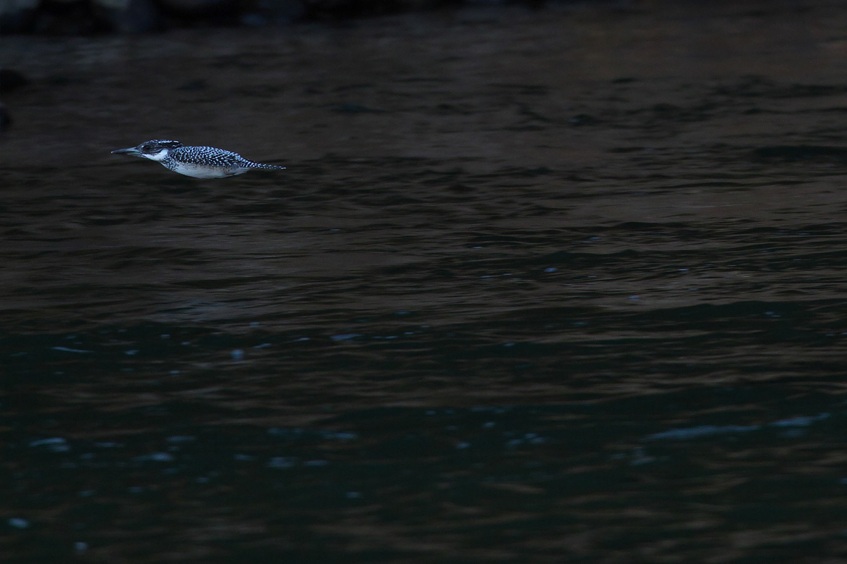 b0180476_2043870.jpg