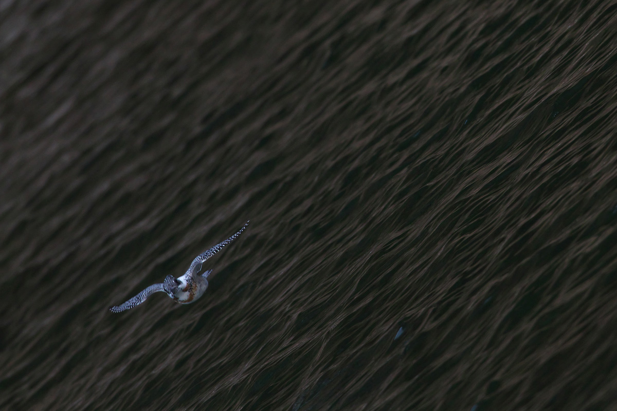b0180476_20442141.jpg