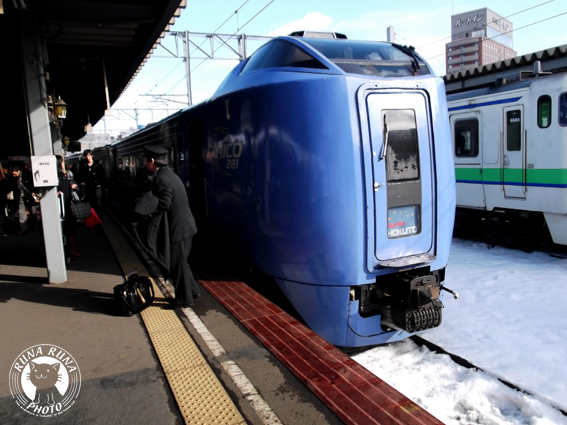 f0210380_145503.jpg
