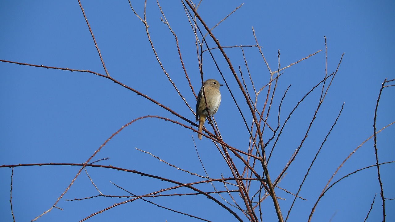a0185081_20314355.jpg