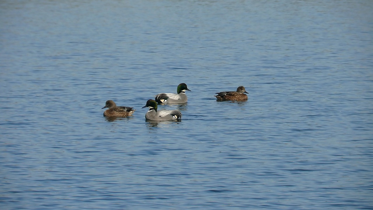 a0185081_2031830.jpg