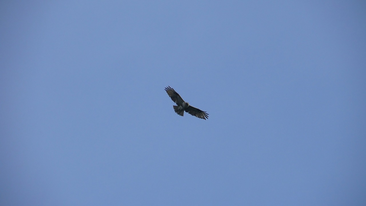 a0185081_20323815.jpg