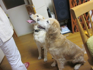 f0005081_22355515.jpg