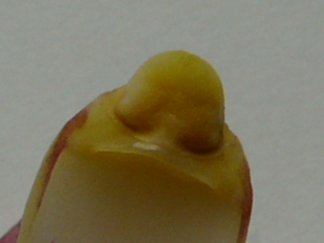 e0145782_10152197.jpg