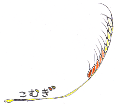 e0243385_15381893.png