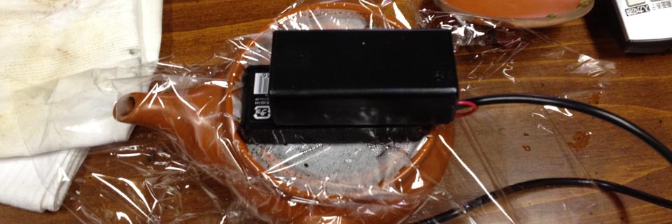 c0170789_12295431.jpg