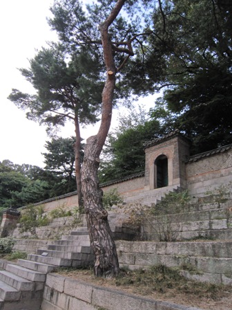 e0126594_942033.jpg